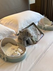 -巍阁月子中心(南山店)