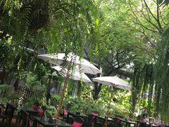 -Fern Forest Cafe