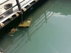 -海上驿站渔家菜馆