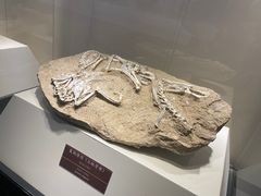 -泉城欧乐堡海洋极地世界