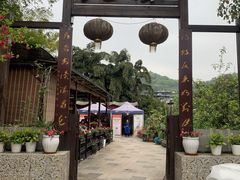 -先机泉水鸡汤(南山老君洞店)