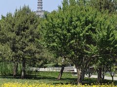-北坞公园