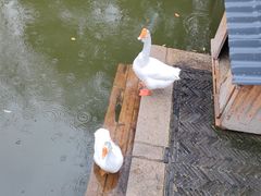 -苏州碑刻博物馆