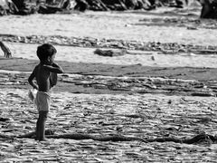 -尼甘布海鲜市场