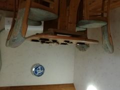 -金山农民画村-枫泾波兰倒置屋