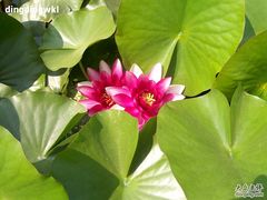 -南戴河国际娱乐中心