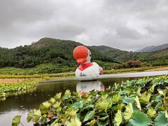 -径山花海