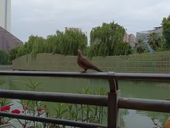 -听香·678茶铺(猛追湾店)