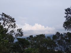 -梧桐山风景名胜区