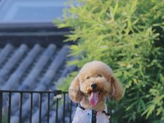 -火火咖啡&茶空间
