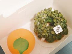 -TD66高山铁皮石斛养生茶饮