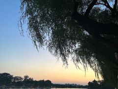 -什刹海