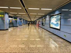 -大龙山(地铁站)