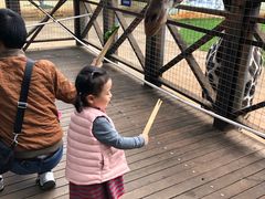 -昆明动物园