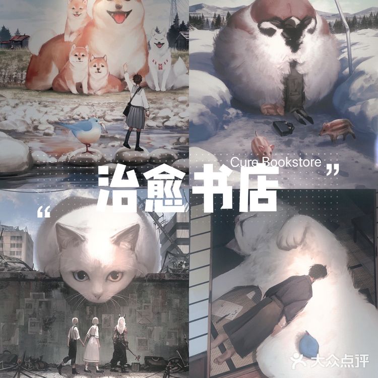 💞周末去哪儿｜来治愈书店吧～