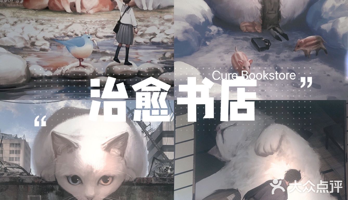 💞周末去哪儿｜来治愈书店吧～