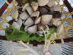 -马家斑.鲜鱼火锅(松湖万科店)