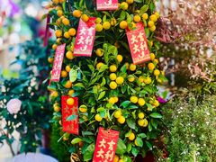 -双季花艺园艺市场(浦东店)