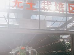 -长春农博园