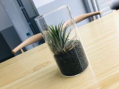 -暮蝉冰粉
