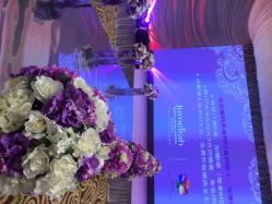 卓美亚喜玛拉雅酒店·婚宴-上海喜玛拉雅酒店-宴会中心