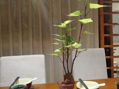 -十二舍·湯物素煮(江泰潤政店)