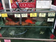 -南丫岛