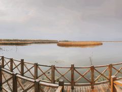 -野鸭湖国家湿地公园