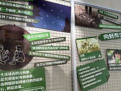 -SENTEA森茶(麦地丽日店)