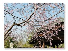 -三里河公园