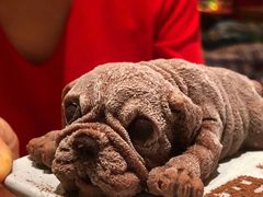 -胡桃里乐队酒馆(鎏嘉码头店)