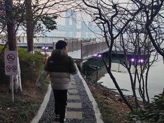 -金鸡湖桃花岛