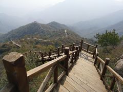-大岭沟猕猴桃谷风景区