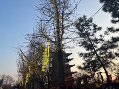 -杨家埠民间艺术大观园