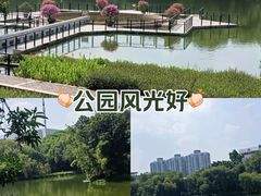 -禅城中山公园