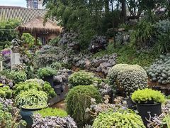-山菌美食苑(振兴路店)