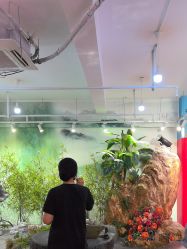 -星豆豆儿童摄影(南郊太白南路店)