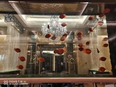 -星河湾半岛酒店-真粤中餐厅