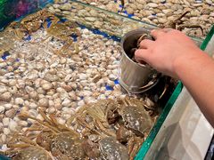 -宴立方海鲜自助(义乌万达广场店)