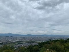 -岚山猴子公园