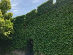 -虞山城墙