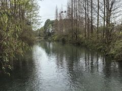 -桤木河湿地公园