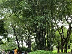 -晓港公园