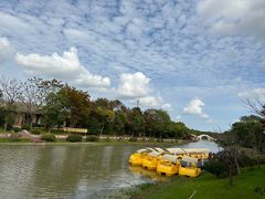 -上海海湾国家森林公园