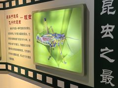 -上海昆虫博物馆
