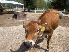 -哈尔滨北方森林动物园