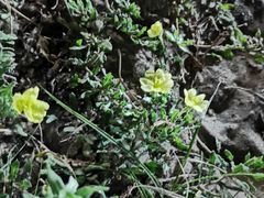 -胖大嫂渔家排档·全海景餐厅(渔村店)