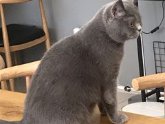 -平行世界·猫咖(首经贸店)