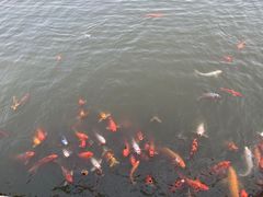 -春晖园度假酒店温泉