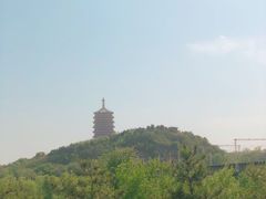 -永定河休闲森林公园